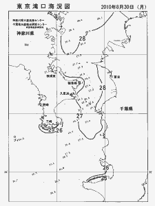 東京湾口海況図(2010/08/30)