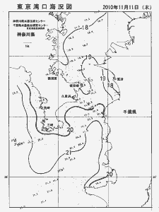 東京湾口海況図(2010/11/11)