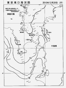 東京湾口海況図(2010/12/20)
