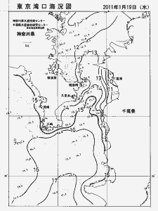東京湾口海況図(2011/01/19)