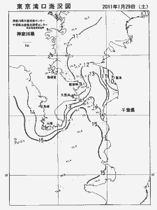 東京湾口海況図(2011/01/29)
