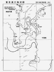 東京湾口海況図(2011/03/08)