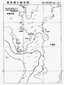 東京湾口海況図(2011/05/31)