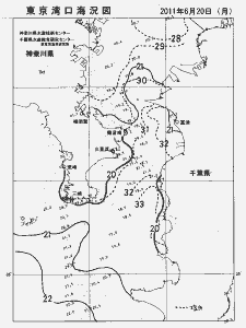 東京湾口海況図(2011/06/20)