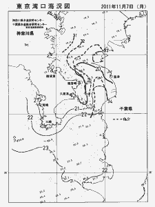 東京湾口海況図(2011/11/07)