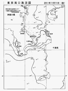東京湾口海況図(2011/11/11)