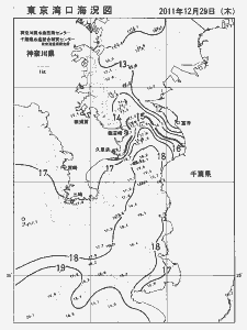 東京湾口海況図(2011/12/29)