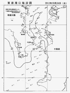 東京湾口海況図(2012/10/24)