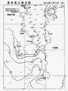 東京湾口海況図(2012/11/11)