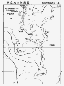 東京湾口海況図(2013/01/26)