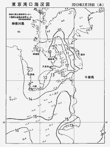 東京湾口海況図(2013/02/28)