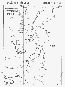 東京湾口海況図(2013/05/08)