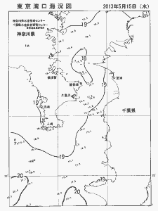 東京湾口海況図(2013/05/15)