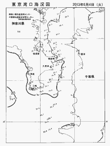 東京湾口海況図(2013/06/04)