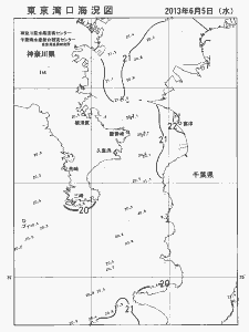 東京湾口海況図(2013/06/05)