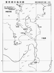 東京湾口海況図(2013/06/13)