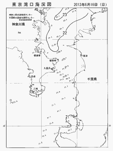 東京湾口海況図(2013/06/16)