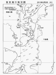 東京湾口海況図(2013/08/08)