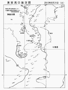東京湾口海況図(2013/08/31)