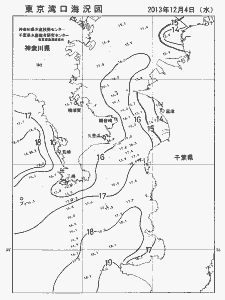 東京湾口海況図(2013/12/04)
