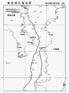 東京湾口海況図(2014/05/28)