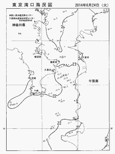 東京湾口海況図(2014/06/24)