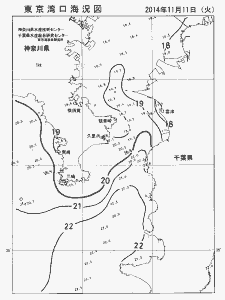 東京湾口海況図(2014/11/11)