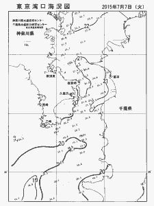 東京湾口海況図(2015/07/07)