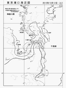 東京湾口海況図(2015/12/12)
