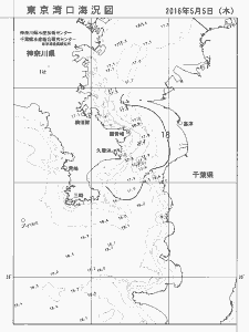 東京湾口海況図(2016/05/05)