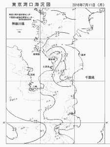 東京湾口海況図(2016/07/11)