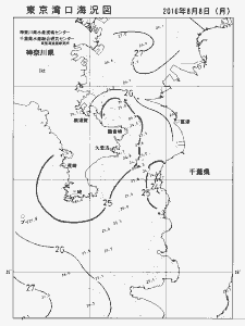 東京湾口海況図(2016/08/08)