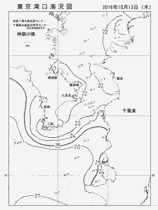 東京湾口海況図(2016/10/13)