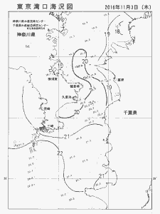 東京湾口海況図(2016/11/03)