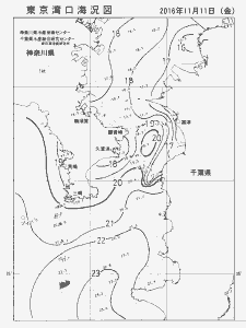 東京湾口海況図(2016/11/11)