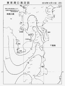 東京湾口海況図(2016/12/12)