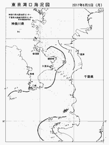 東京湾口海況図(2017/06/05)
