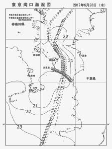 東京湾口海況図(2017/06/28)