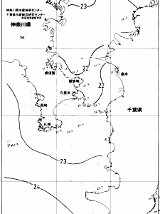 東京湾口海況図(2017/10/10)