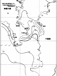 東京湾口海況図(2018/01/16)