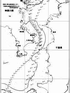 東京湾口海況図(2018/05/19)