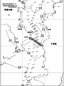 東京湾口海況図(2018/06/06)