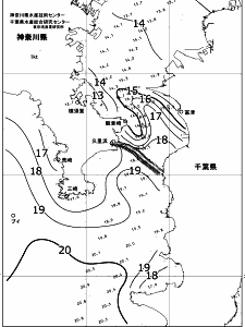 東京湾口海況図(2018/12/24)