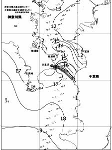 東京湾口海況図(2019/01/01)