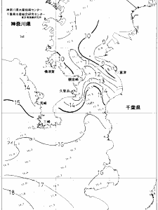 東京湾口海況図(2019/01/30)