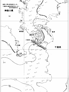 東京湾口海況図(2019/02/08)