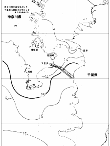 東京湾口海況図(2019/03/17)