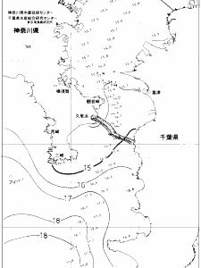 東京湾口海況図(2019/04/13)