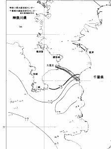 東京湾口海況図(2019/04/17)