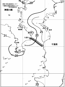 東京湾口海況図(2019/05/30)